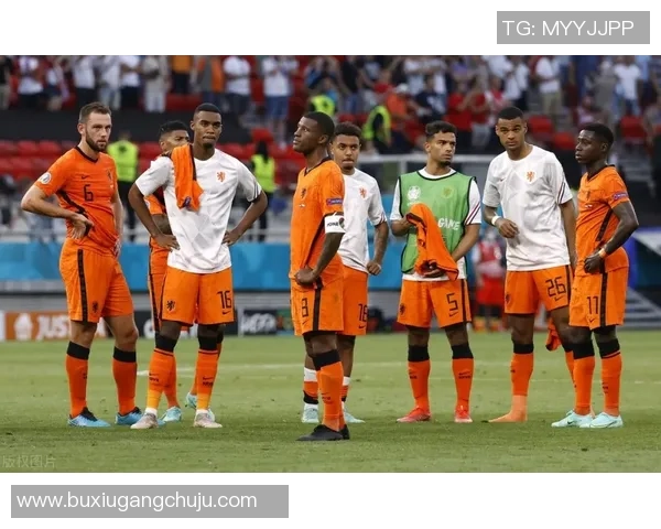 上海排球队重塑辉煌的反击革新之路探秘与展望